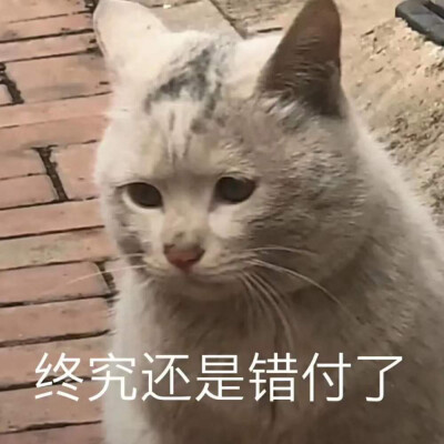 搞怪表情