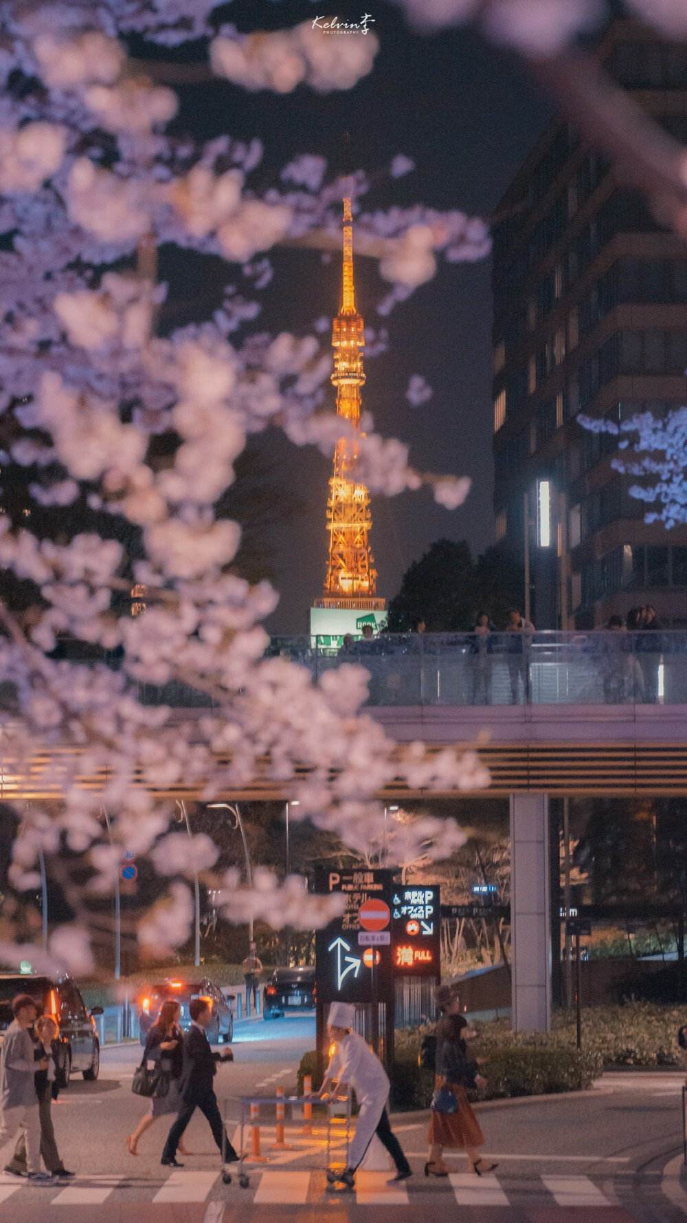 日系风 樱花 壁纸