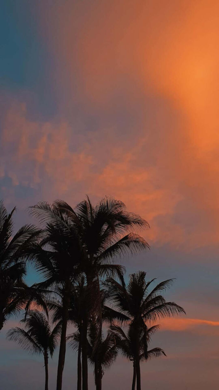 风景壁纸 夕阳 金色