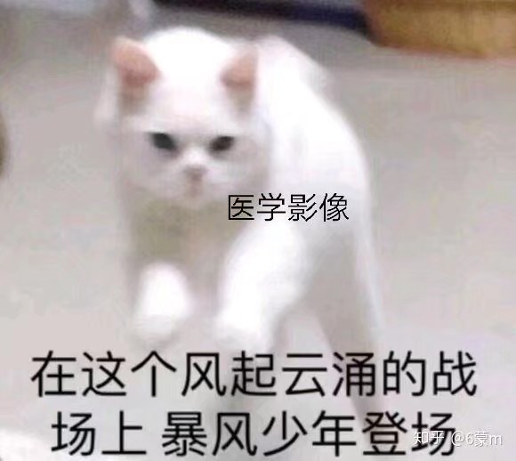 我太难了