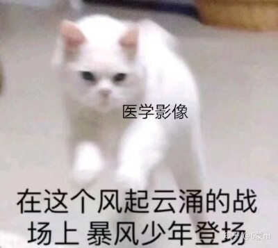 我太难了