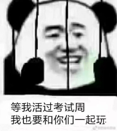 真的难