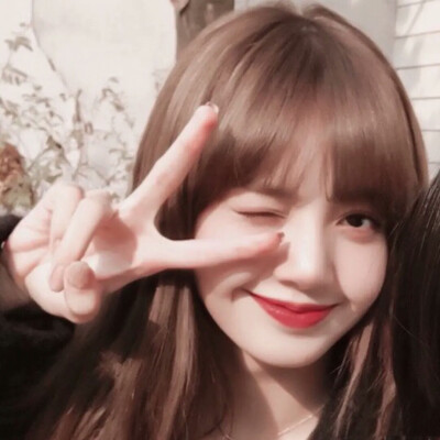 lisa(•̀⌄•́)