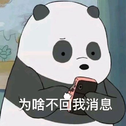 为啥不回我消息