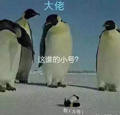 很真实