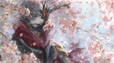 zed