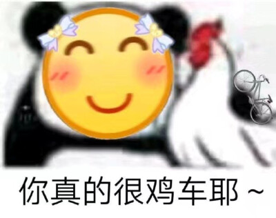 可可爱爱沙雕表情包•⌄•
