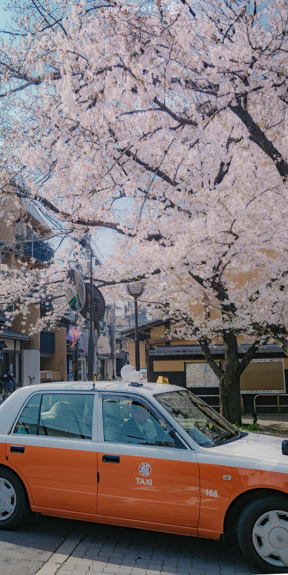 『春季限定』
今日份手机壁纸/风景壁纸/樱花壁纸/锁屏壁纸/高清壁纸/无水印壁纸/少女心壁纸/天空壁纸/神仙背景/聊天背景/
cr.overwater