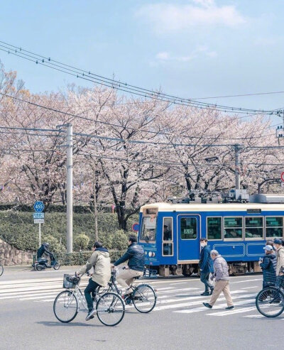 唯美清新风景背景图
图源vb