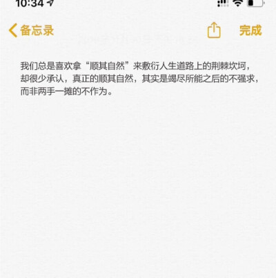 备忘录的文字