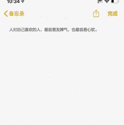 备忘录的文字