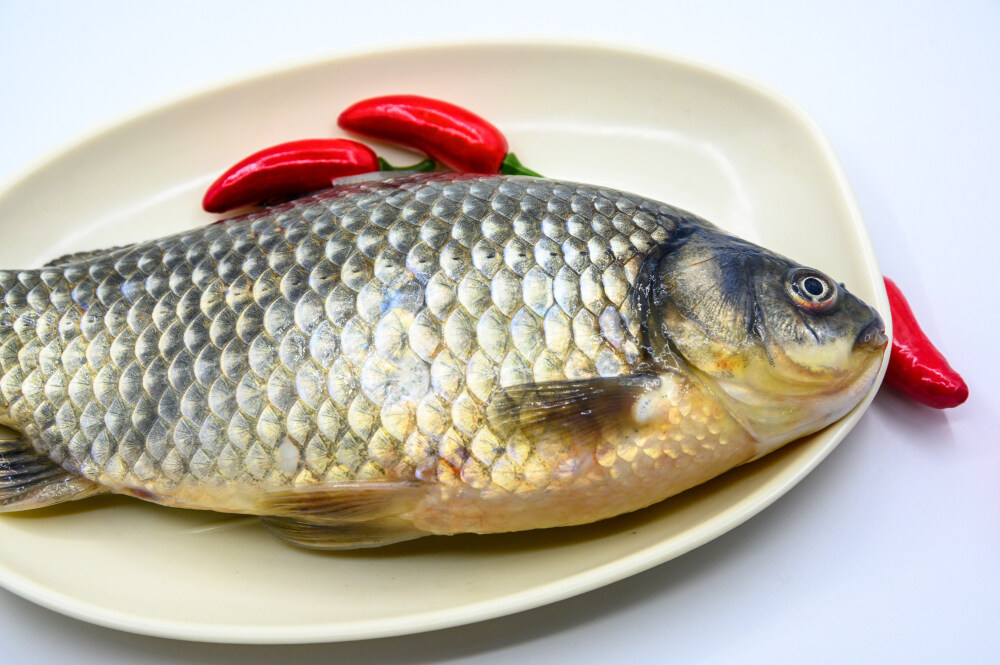 鲫鱼 生物 水生生物 水产品 海产品 鱼类 海鲜 狗杠鱼 推浪鱼 沙逛鱼 地龙鱼 天浪鱼 光鱼 海鱼 新鲜 动物 海洋动物 室内 食材 食物 待加工 烹饪 野生鱼 捕捞 特写 黑色背景 容器 简单背景 白瓷盘 瓷器 整条鱼 饮食 营养丰富 中国 葱 大葱 蒜 大蒜 辣椒 红色 辛辣 佐料 调料
