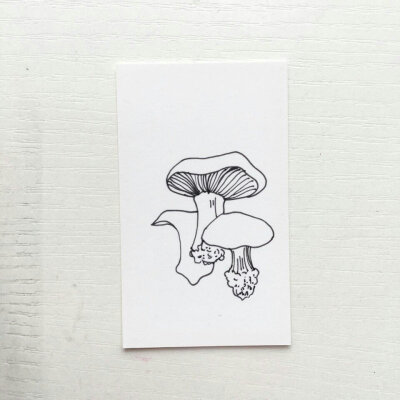 这个蘑菇 好想画在课本上(っ•̀ω•́)っ✎⁾⁾
By week映琬洲