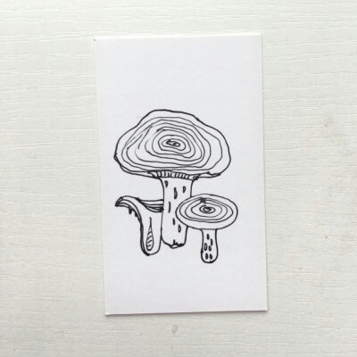 这个蘑菇 好想画在课本上(っ•̀ω•́)っ✎⁾⁾
By week映琬洲