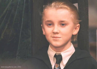 Tom Feldon