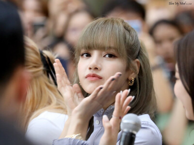 lalisa manoban ☪ 甜豆莎 cr.水印