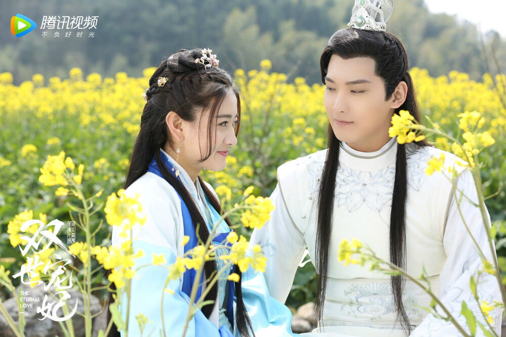 双世宠妃 梁洁 饰 曲小檀/曲檀儿 邢昭林 饰 墨连城