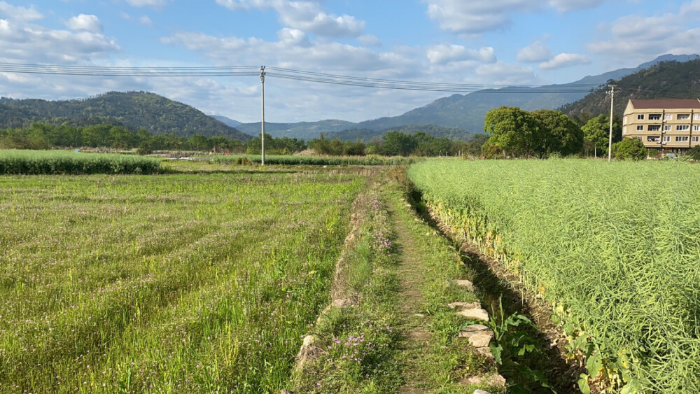 乡村田野