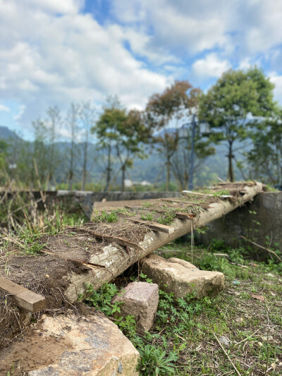 乡村田野