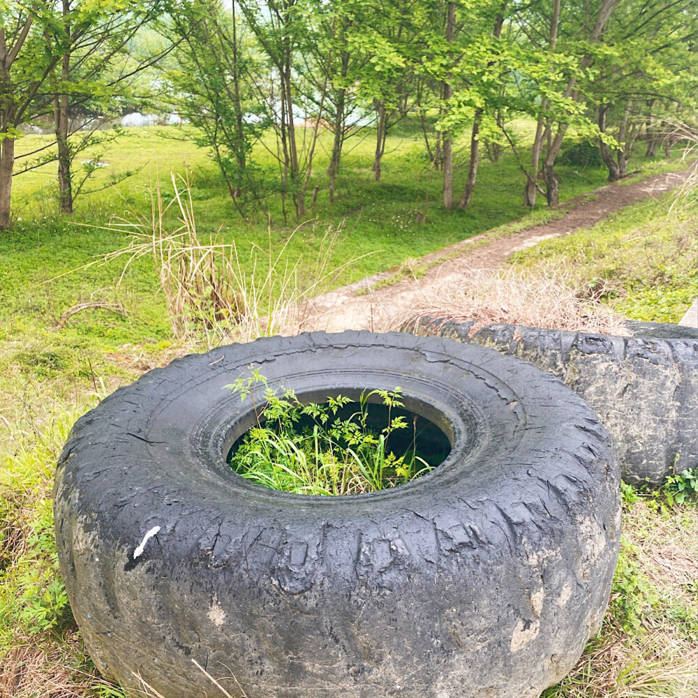 乡村田野