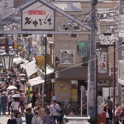 Cat Nation:A FilmAboutJapan'sCrazyCat Culture