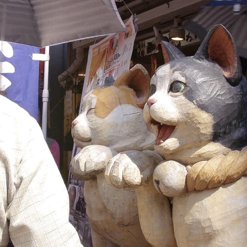 Cat Nation:A FilmAboutJapan'sCrazyCat Culture