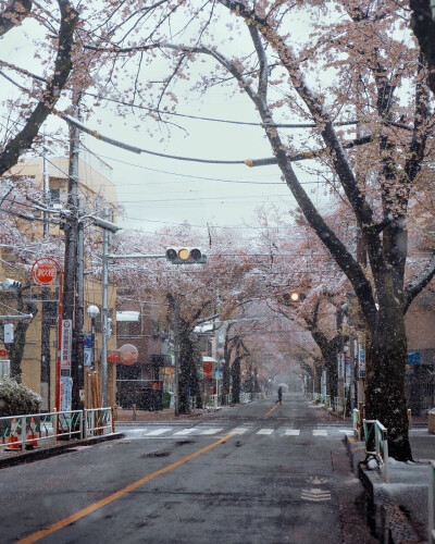 风景/摄影/