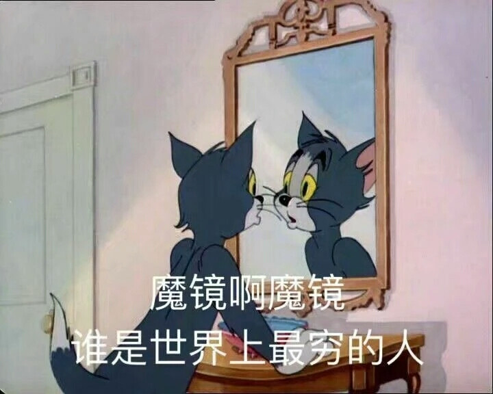 猫和老鼠