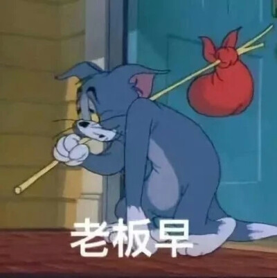 猫和老鼠