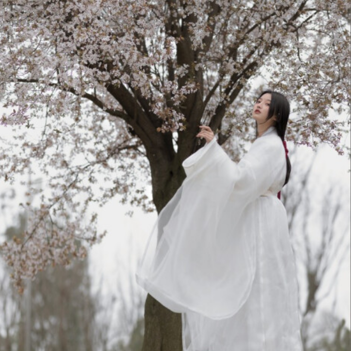 汉服 自截 古风 女头 二传注明堆糖诺桐 温山软水也不及你唇畔吻过的桃花