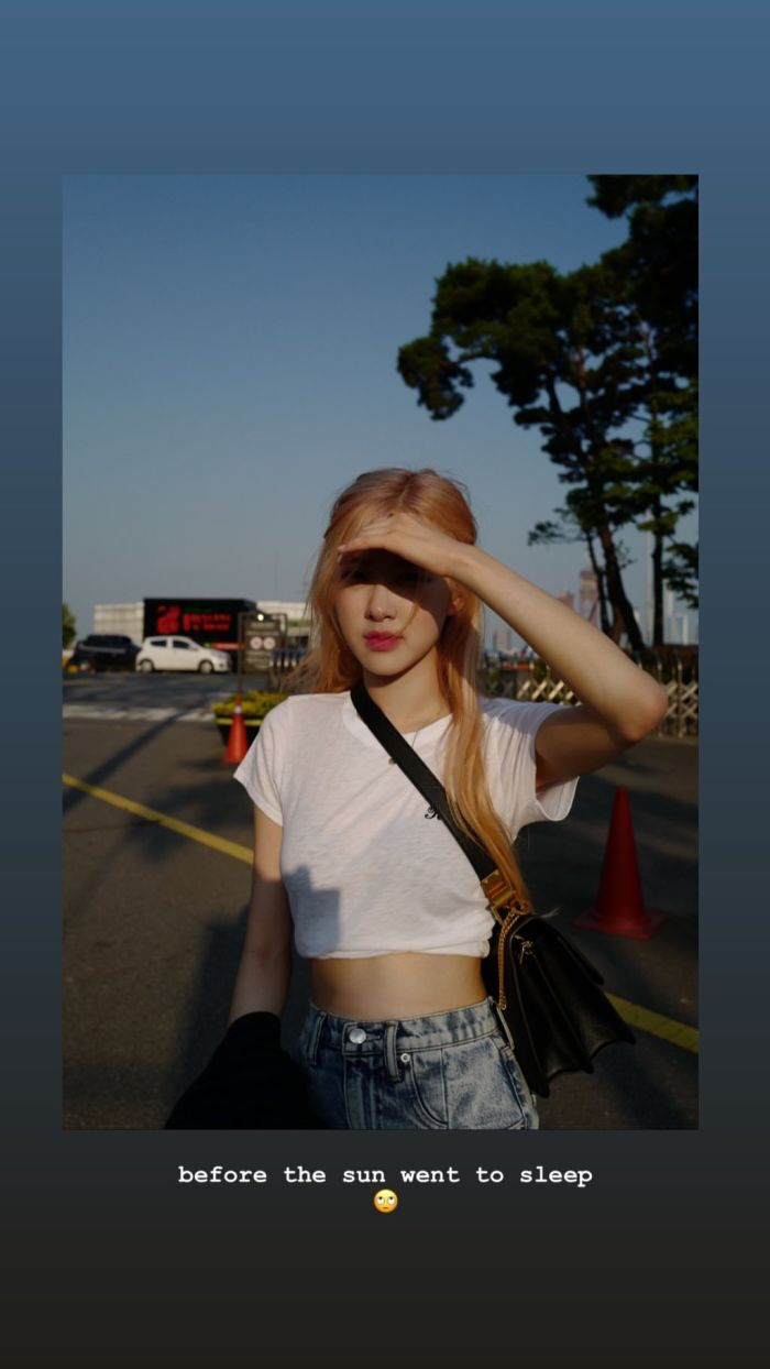 Rose 壁纸头像 堆糖 美图壁纸兴趣社区