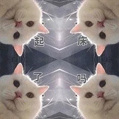 起床了吗（猫咪俯视四连）