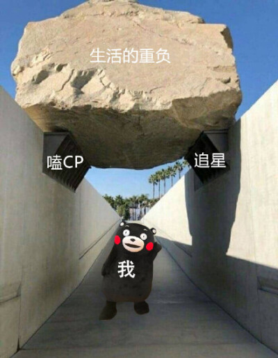 生活的重负嗑CP追星我