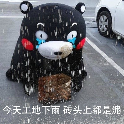 今天工地下雨砖头上都是泥