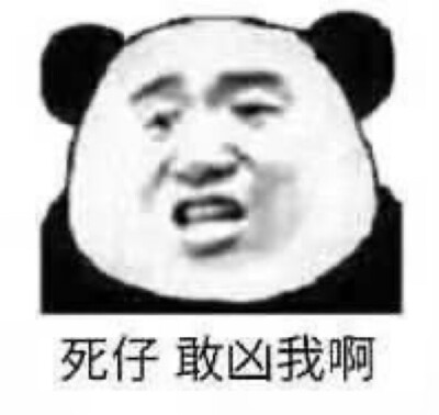 小熊喵？（一）