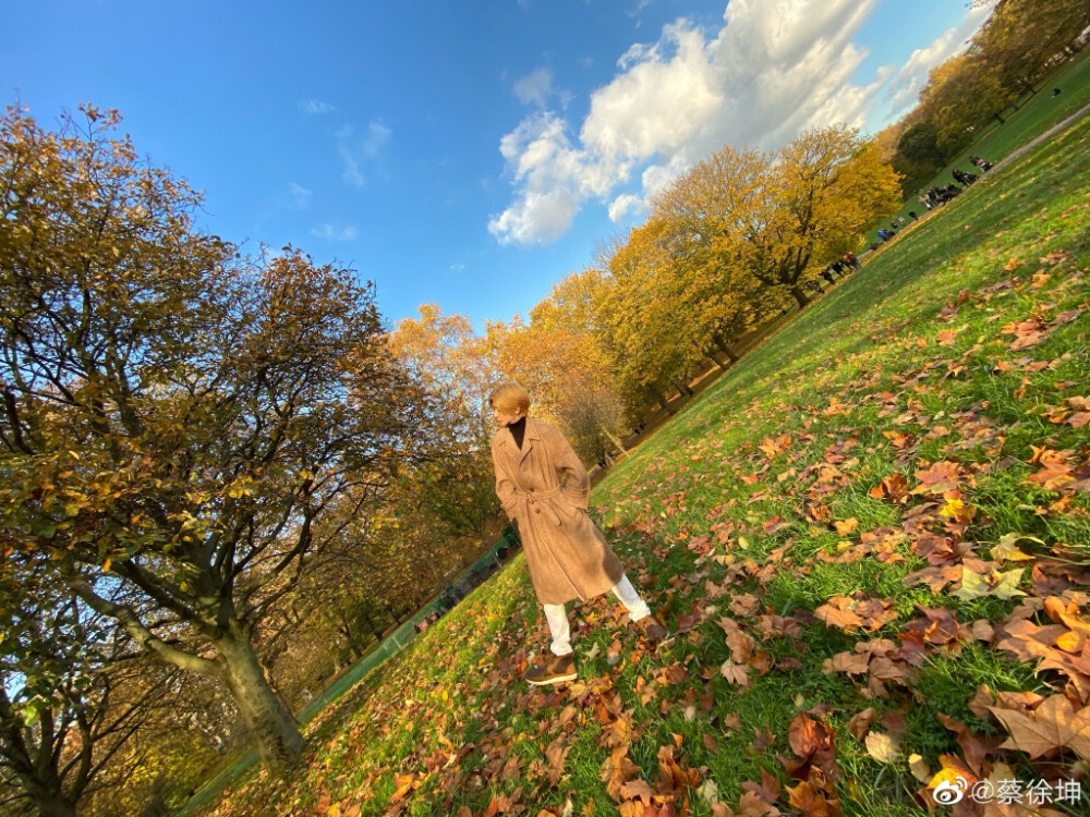 蔡徐坤 背景壁纸 秋天 落叶