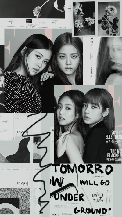 Blackpink
壁纸