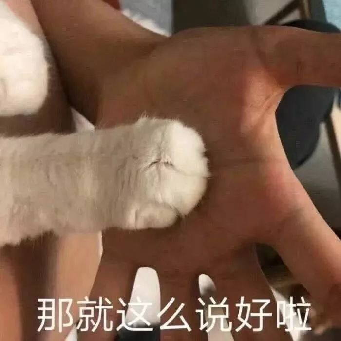 小猫咪