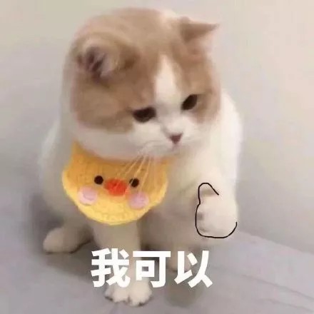 小猫咪