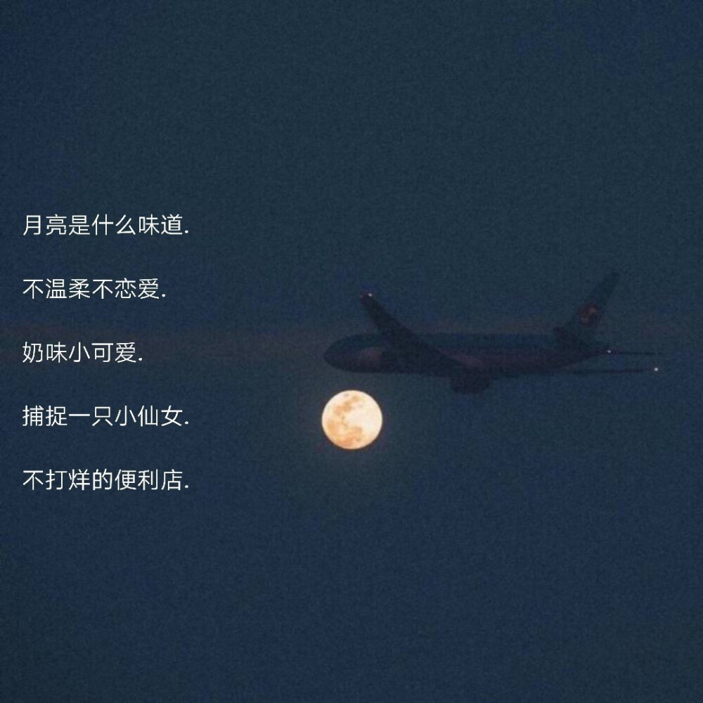 网名集/