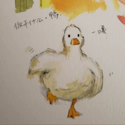 鸭鸭