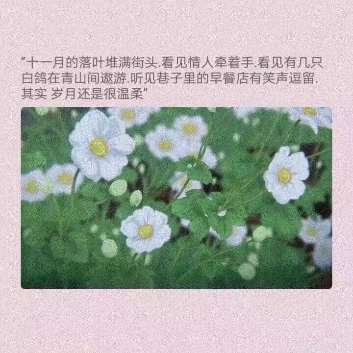 眉梢春风吹入眸，桃花笑面一如旧。