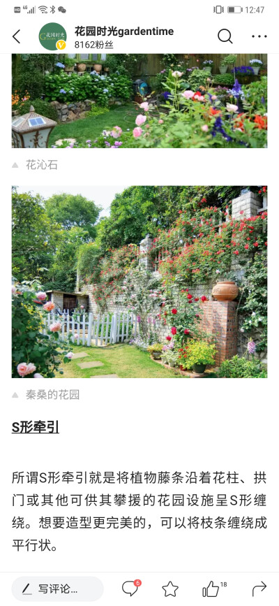 庭院