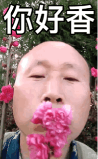 你好香高飞动态表情包