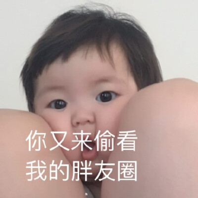 你又来偷看我的胖友圈