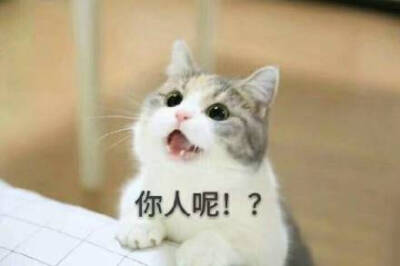 你人呢？ - 高清图片，堆糖，美图壁纸兴趣社区