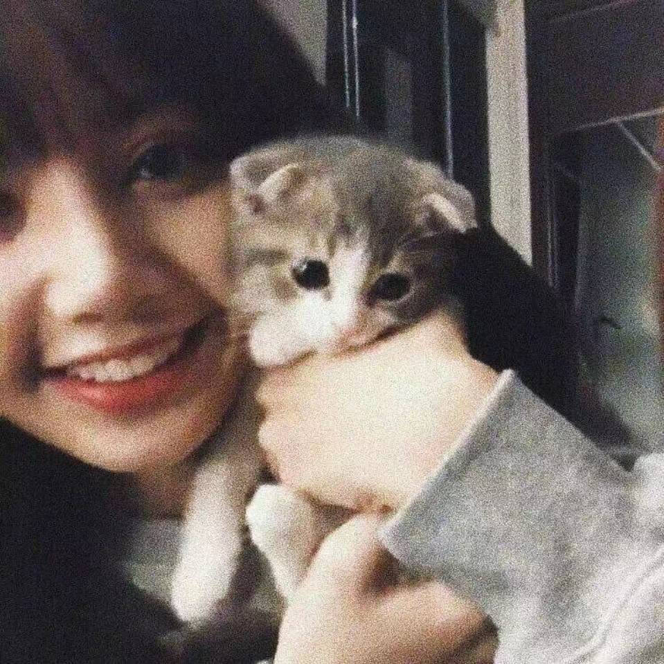 Lisa