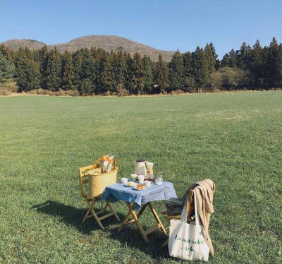 野餐