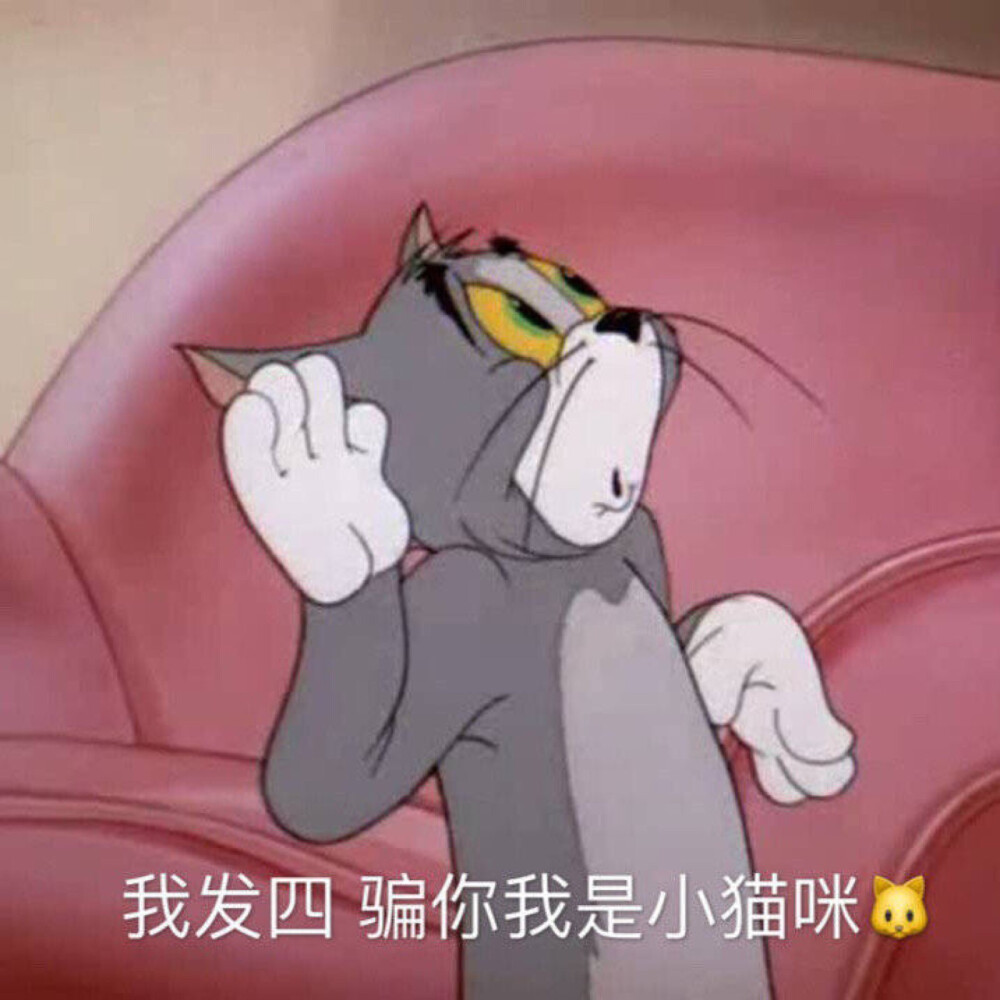 猫和老鼠