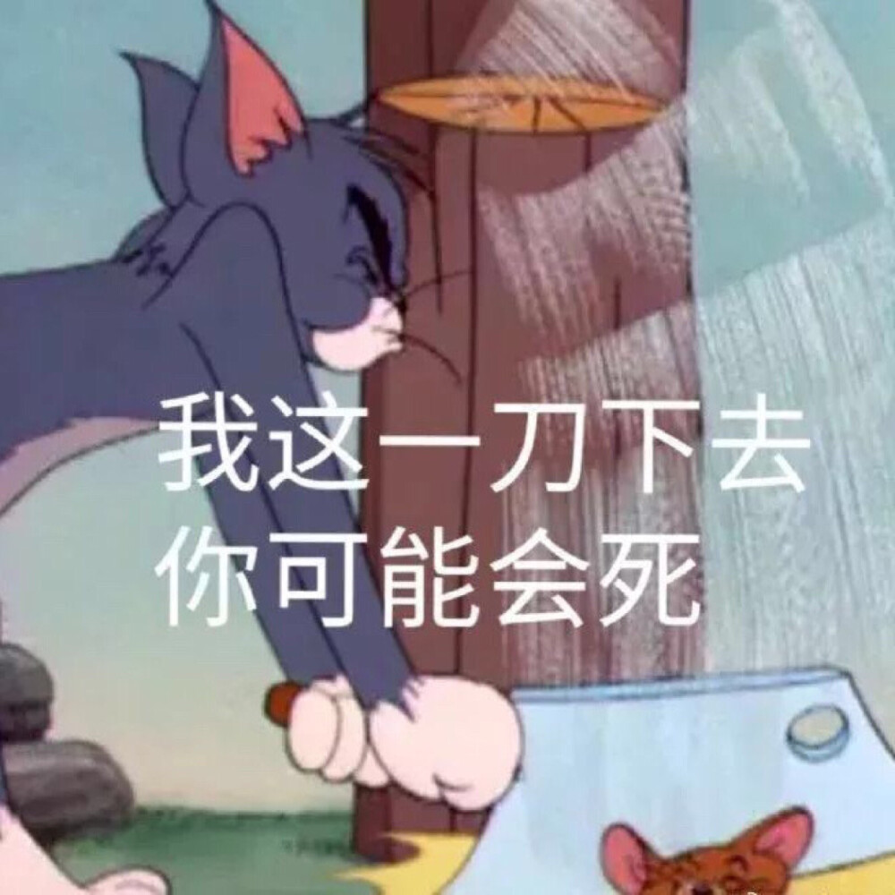 猫和老鼠